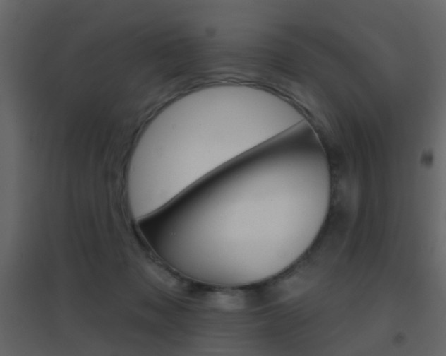 X0000096690317200802051043