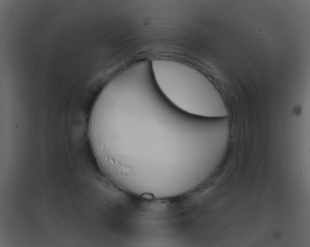 X0000096690318200802051043
