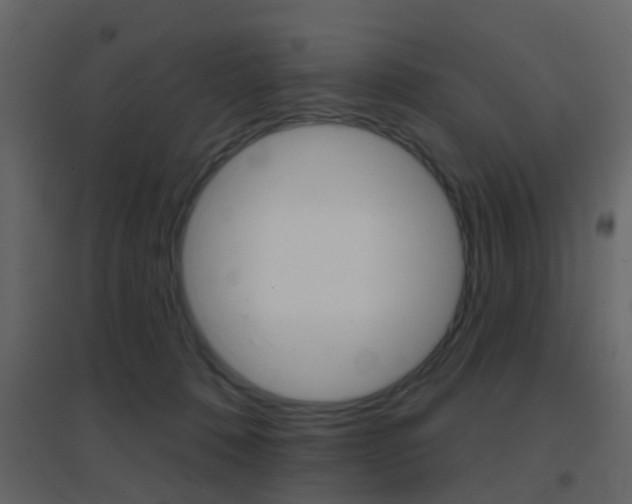 X0000096690320200802051043