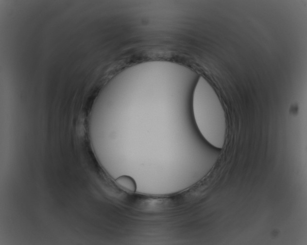 X0000096690323200802051043