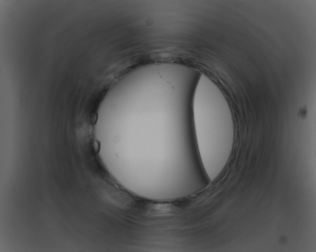 X0000096690324200802051043