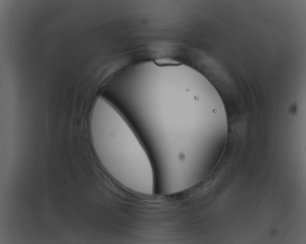 X0000096690325200802051043