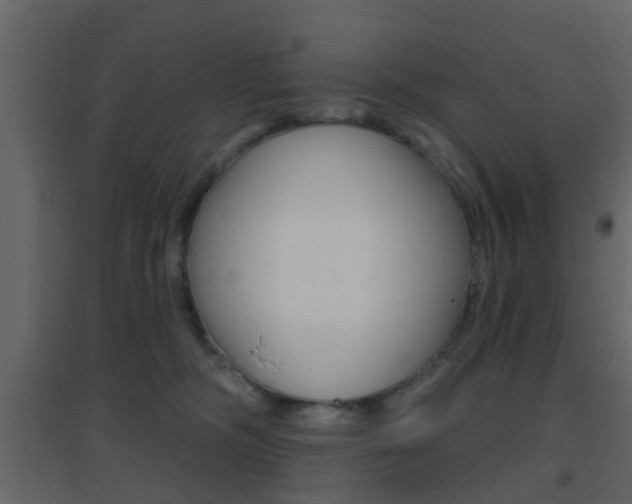 X0000096690326200802051043
