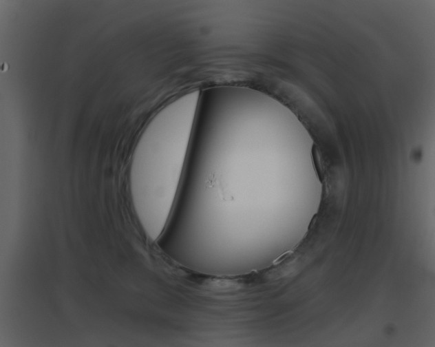 X0000096690327200802051043