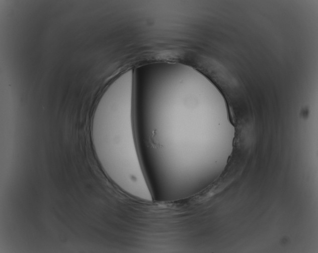 X0000096690329200802051043