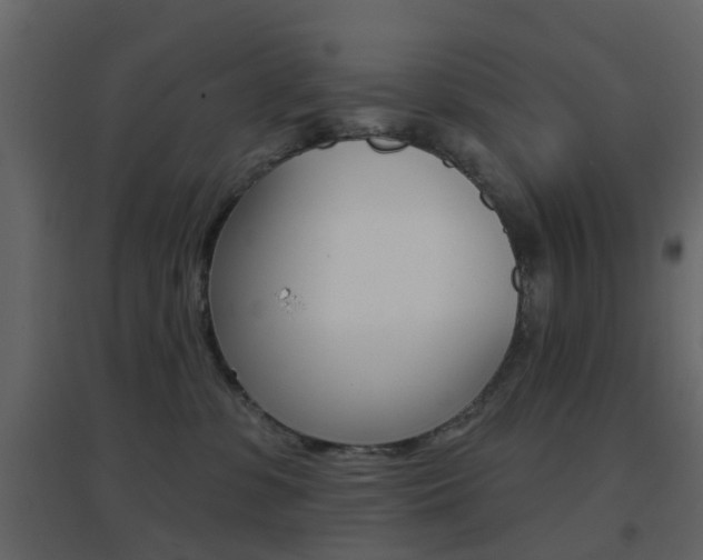 X0000096690331200802051043