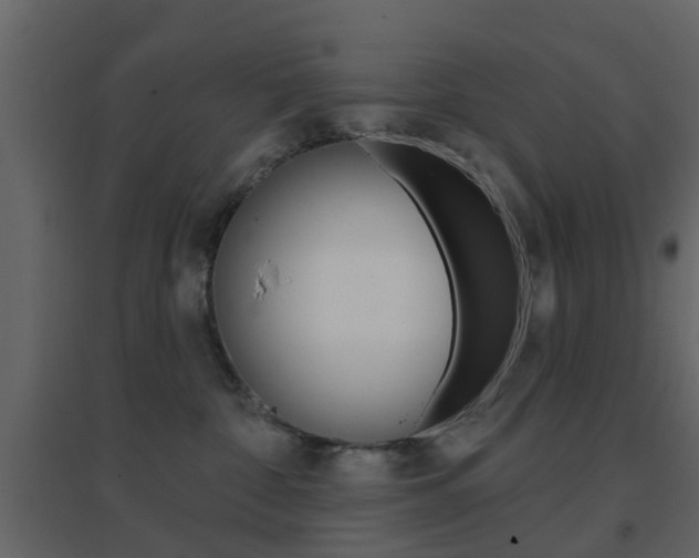 X0000096690332200802051043