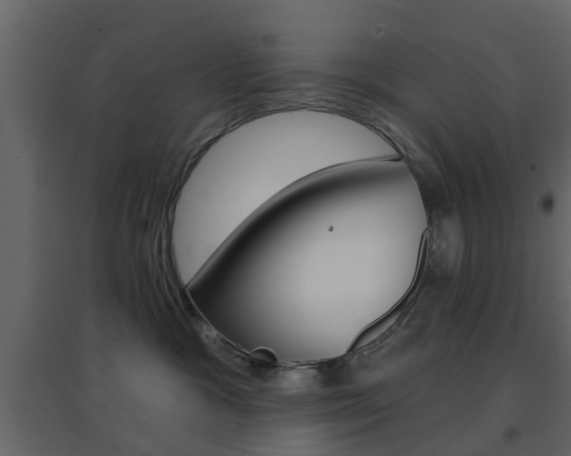 X0000096690333200802051043