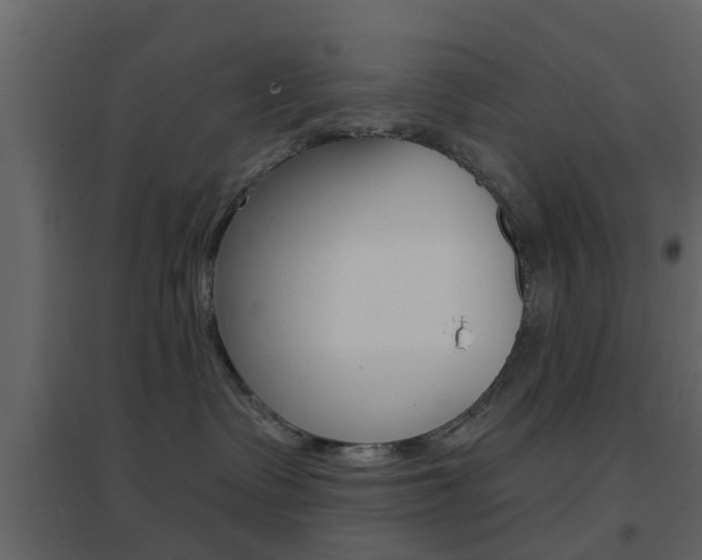 X0000096690335200802051043