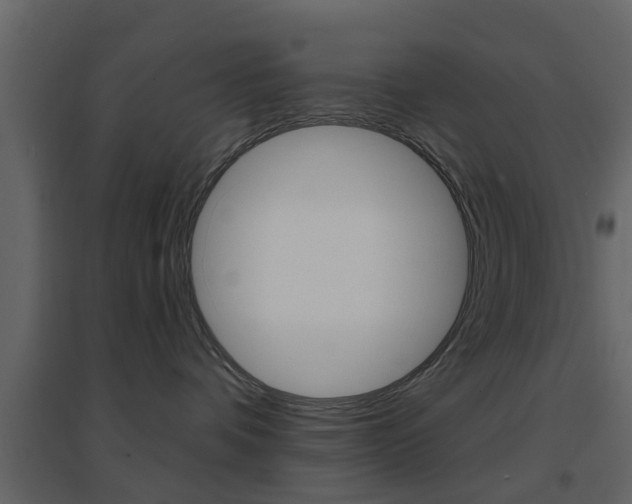 X0000096690336200802051043