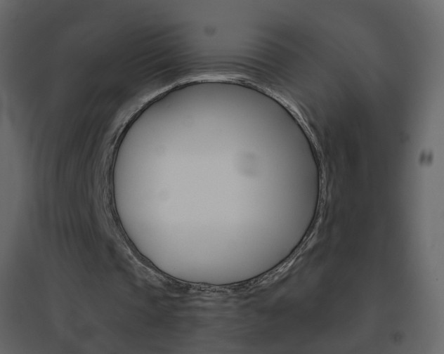 X0000096690337200802051042