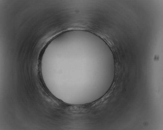 X0000096690338200802051042