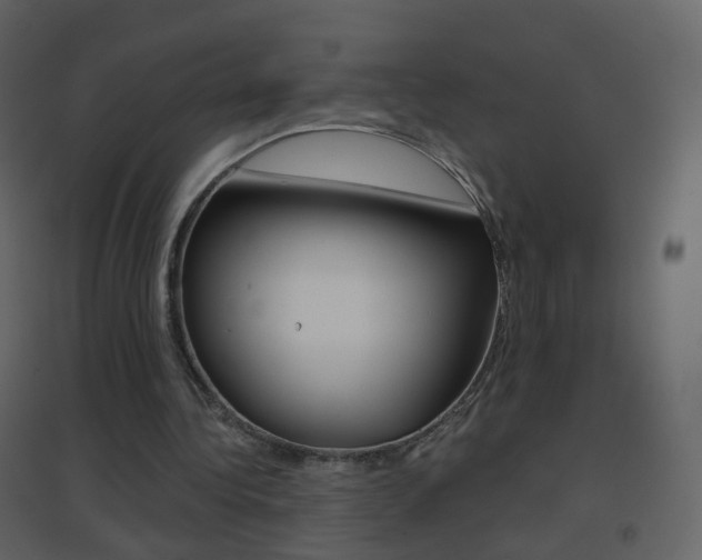 X0000096690340200802051042