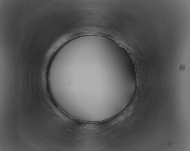 X0000096690341200802051042
