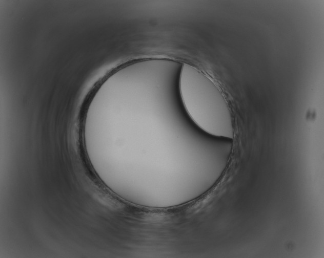 X0000096690342200802051042