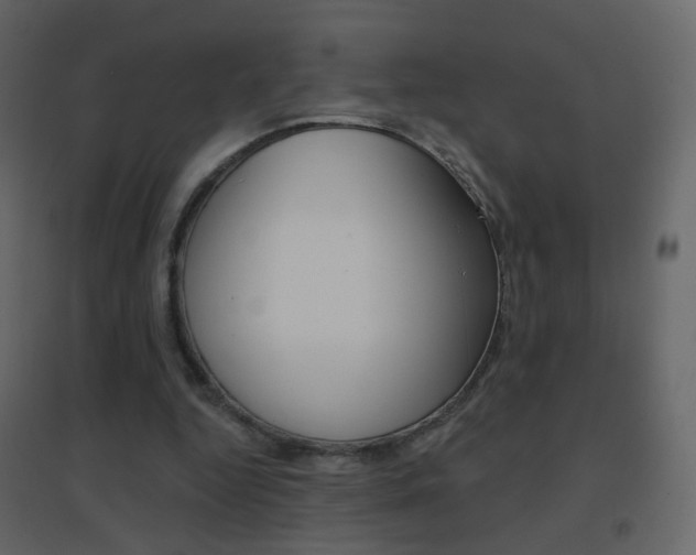 X0000096690344200802051042