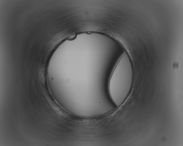 X0000096690345200802051042