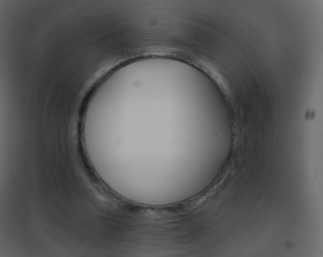 X0000096690346200802051042