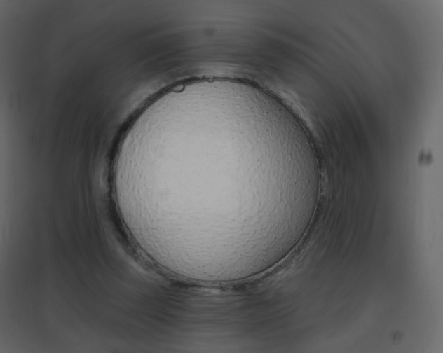 X0000096690347200802051042