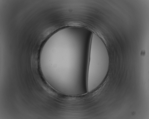 X0000096690349200802051042