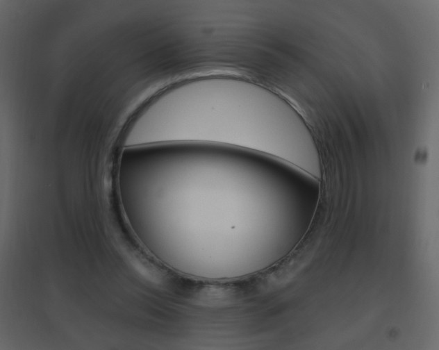 X0000096690350200802051042