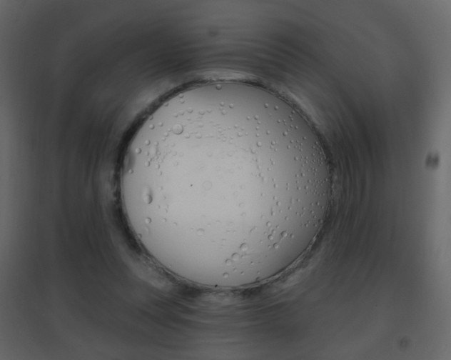 X0000096690351200802051043