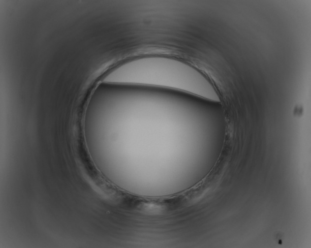 X0000096690352200802051043
