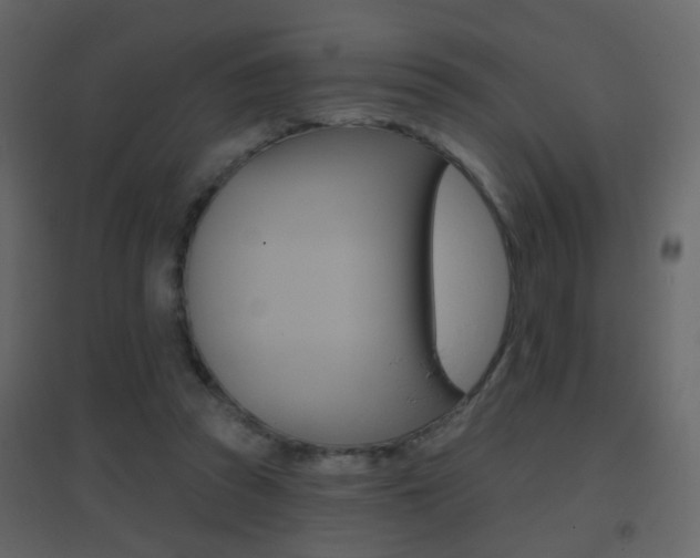 X0000096690353200802051043