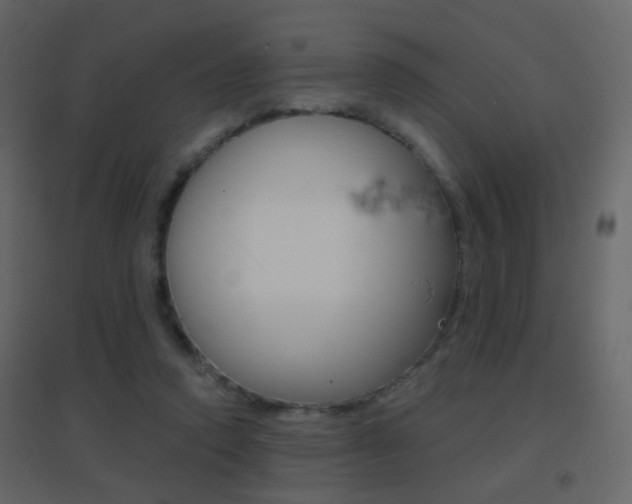 X0000096690354200802051043