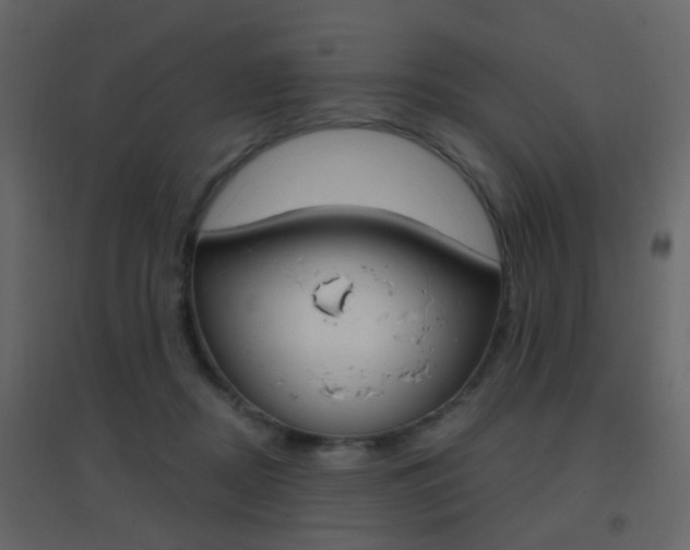 X0000096690362200802051043