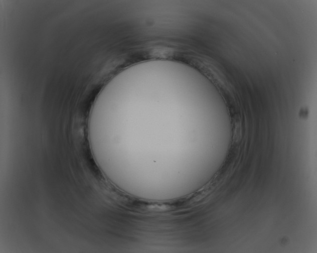 X0000096690363200802051043