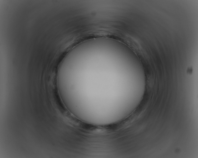 X0000096690364200802051043