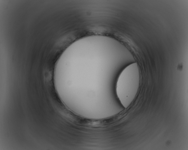 X0000096690365200802051043