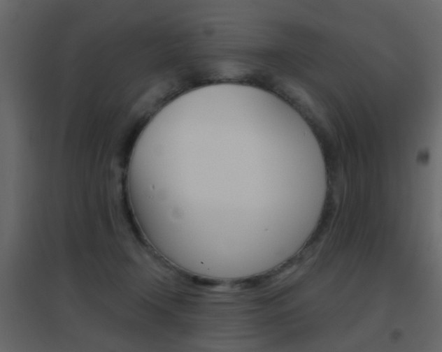 X0000096690366200802051043