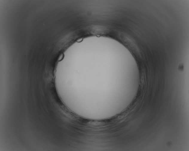 X0000096690367200802051043