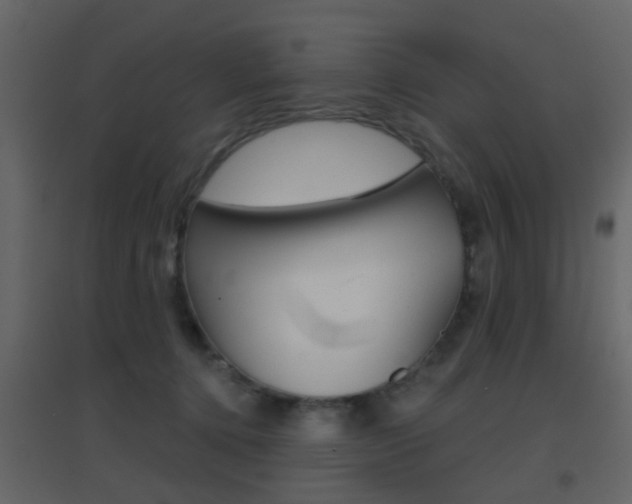 X0000096690368200802051043