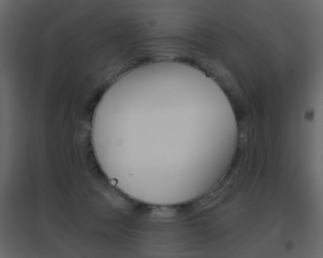 X0000096690369200802051043
