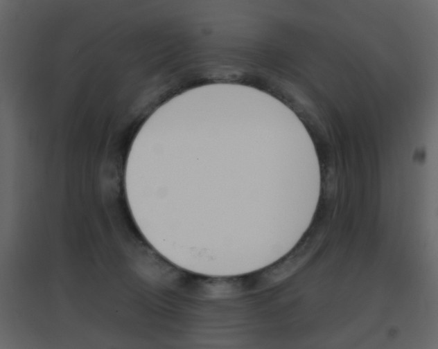 X0000096690370200802051043