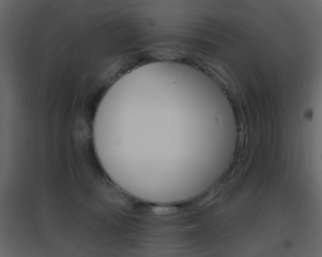 X0000096690371200802051043