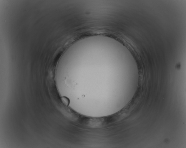 X0000096690373200802051043