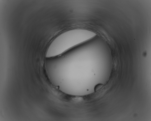 X0000096690374200802051043