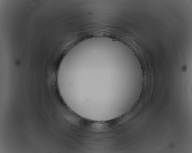 X0000096690375200802051043