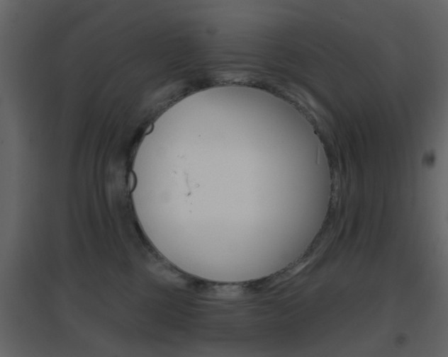 X0000096690377200802051043