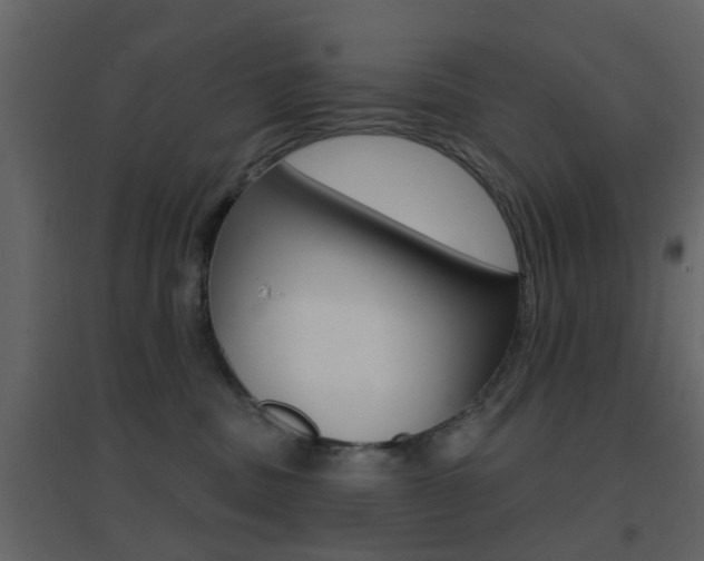 X0000096690379200802051043