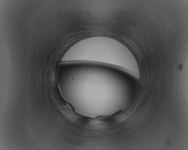 X0000096690380200802051043