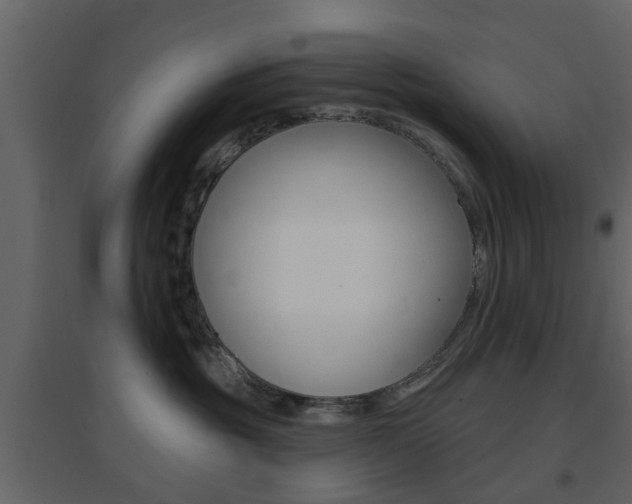 X0000096690381200802051043