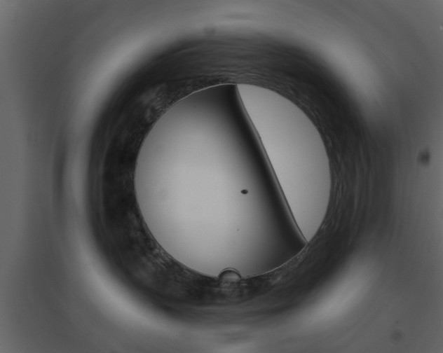 X0000096690383200802051043