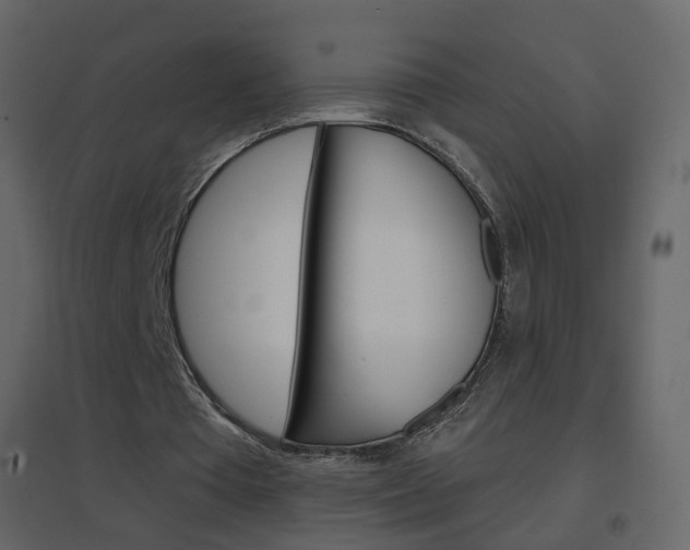 X0000096690385200802051042