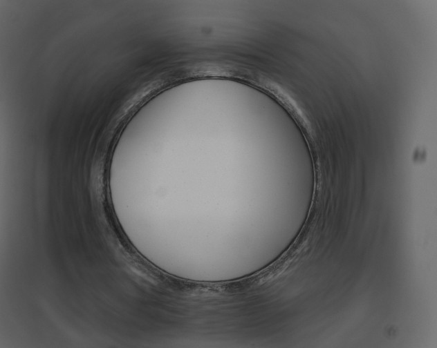 X0000096690386200802051042