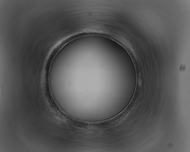 X0000096690388200802051042